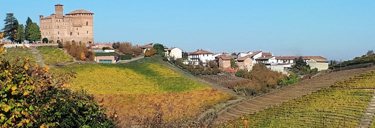 Azienda Agricola Camparo