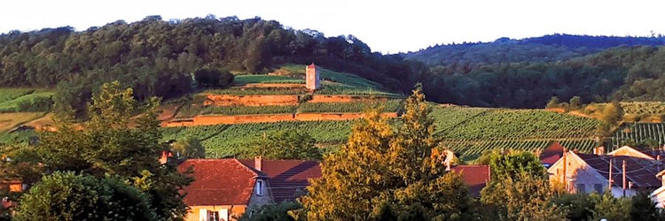 Region Jura
