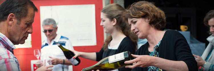 Domaine Louis Chenu