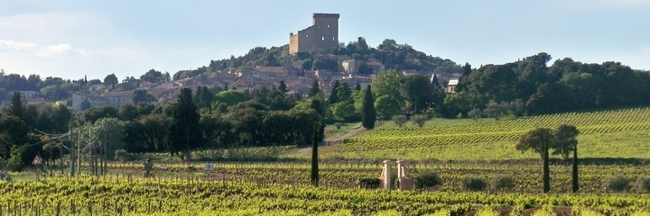 rhone vin wijn wine rhône