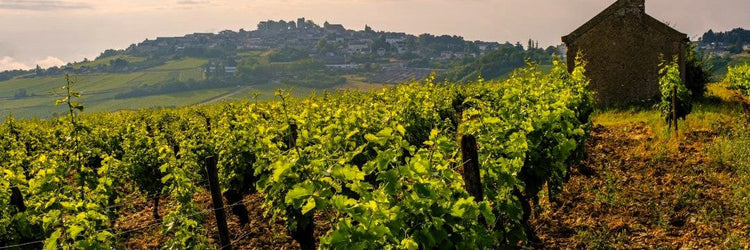 Domaine Fouassier Sancerre