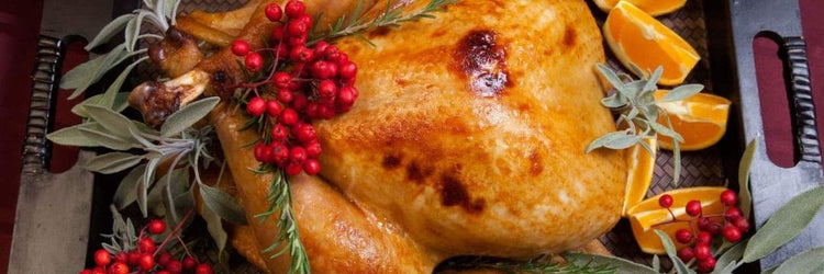turkey wine pairing kalkoen wijn en gerecht