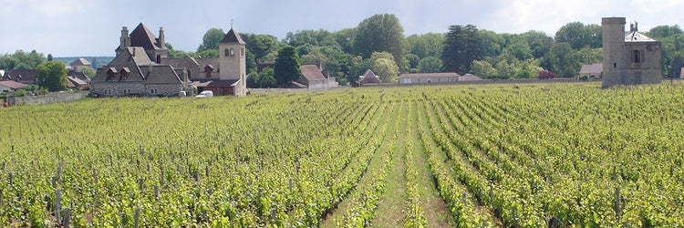 Burgundy bourgogne bourgognes wine vin wijn