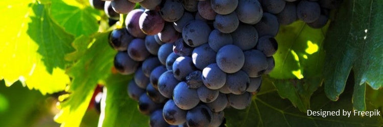 Syrah