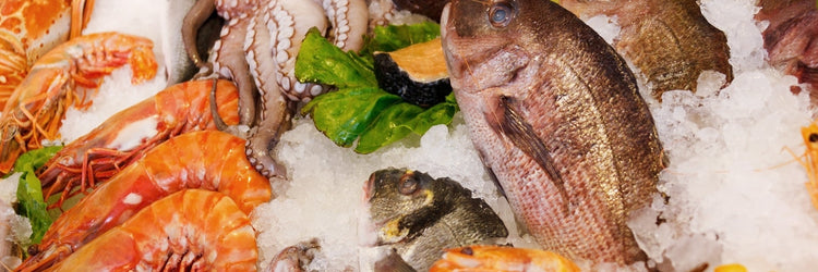 Wine Pairing: Fish vis wijn en gerecht