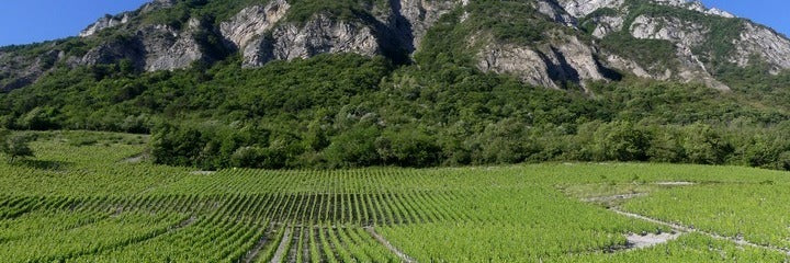 Domaine du Cellier des Cray (Adrien Berlioz)