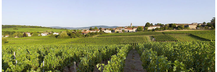 Domaine de la Verpaille Viré Bourgognes