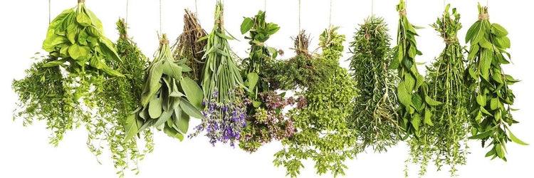dry aromatic herbes wine pairing droge aromatische kruiden wijn en gerecht