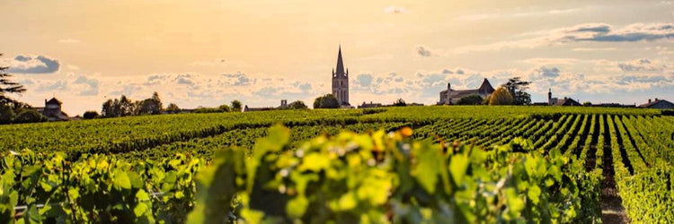 Bordeaux wine