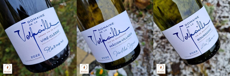 Chardonnay