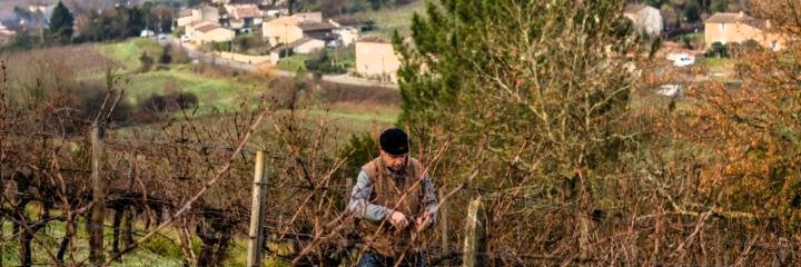 Domaine Jean-Yves Millaire