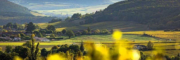 Domaine Aimé Blouzard Bourgogne