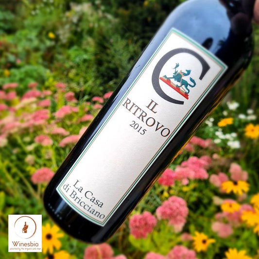 La Casa di Bricciano Il Ritrovo 2015